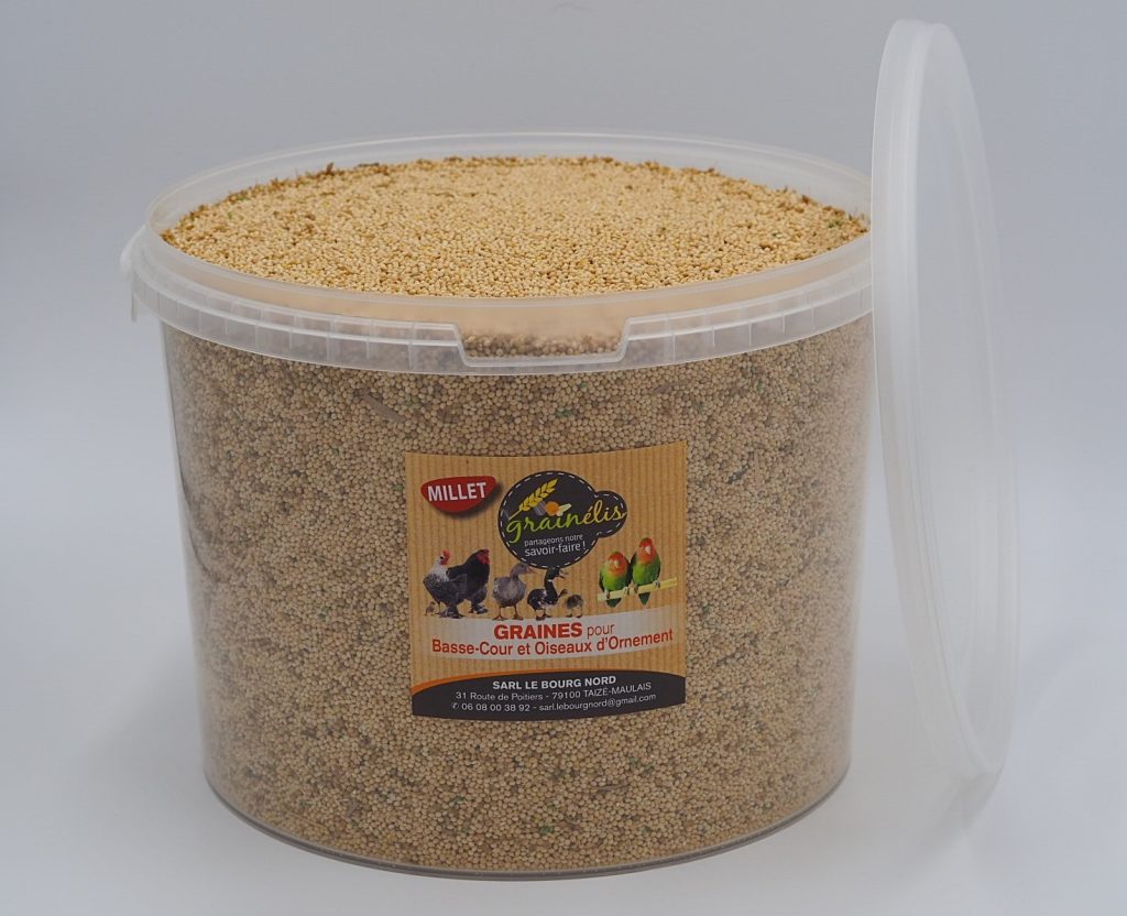 Millet en boite 25 lb pour oiseaux main image 1